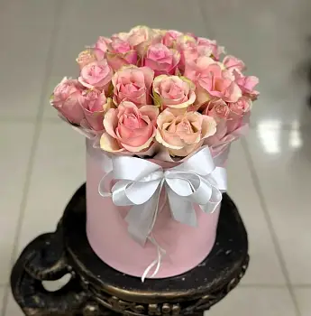 Розовое чудо