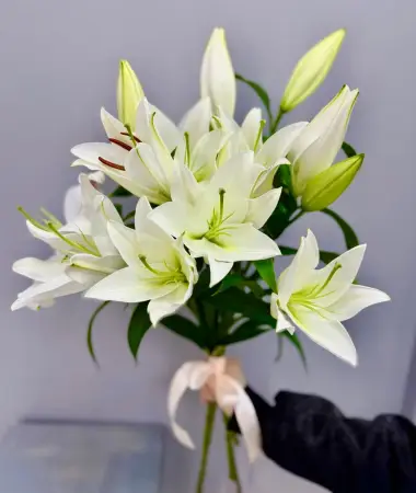 Букет из белых лилий под ленту