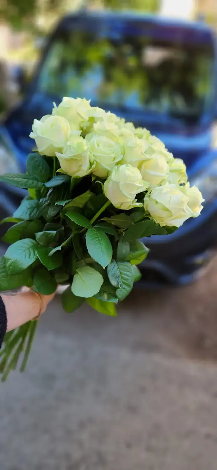 Букет из 21 белой розы